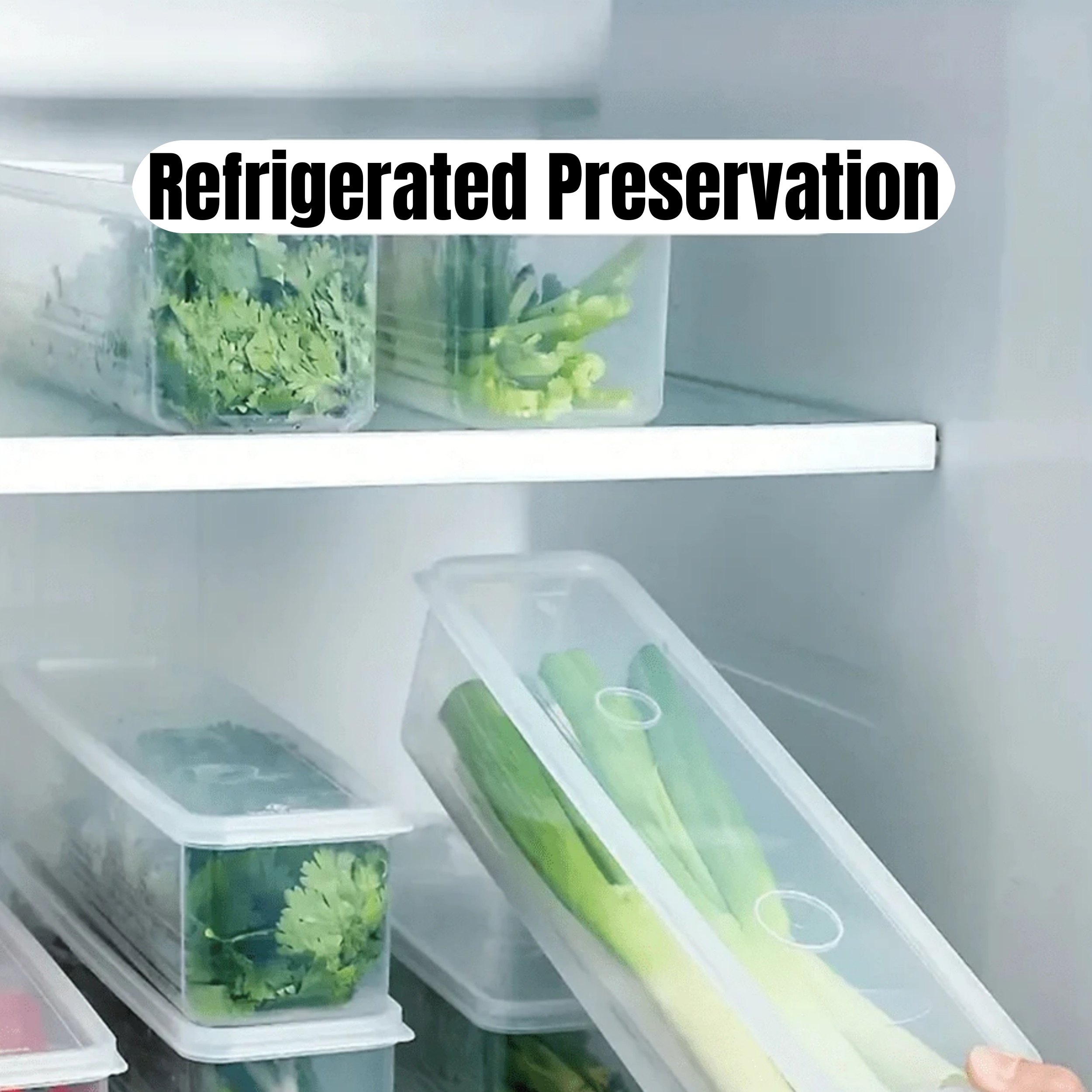 1/2/4Pcs Refrigerator Storage  - огляд і ціна Commercial Kitchen Refrigerator